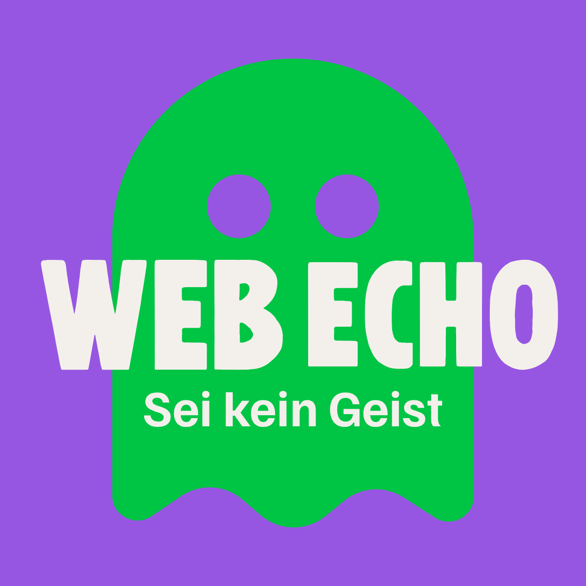 Web Echo Logo